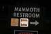Mammoth Restroom