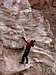 Cotopaxi glacier climbing.