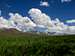 Deosai Plateau, Grassy Plains