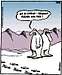 Messner Yeti Humor