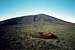 Piton de la Fournaise and Formica Leo