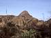 Granite Peak through the dense desert vegetation