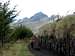 Pasochoa summit, from trail (...