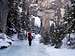 Nearing the ice in Grotto Canyon