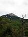 Rincon Peak from Happy Valley...