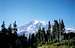 Majestic Mt. Rainier. 
...