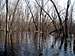 Maple Swamps, Raquette River