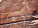 Equine Petroglyph, Canyon de Chelly