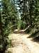 Upper Plymouth Creek Trail