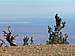 View north from Mount Baden-Powell