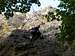 Climbing Beutelfels