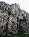 Bushtrice Gorge - Crack Climbs