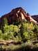 Kolob Canyon Scenery