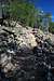 Boulder Creek Trail