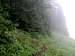 Johnson Ridge Trail