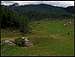 Klek alpine meadow