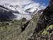 Granite and Aletsch
