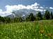 A beautiful meadow on Passo...