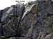 Lichen Wall: 1. Ker Plunk -...