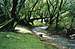 Seasonal stream, Lucas Valley