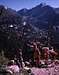 Rocky Mtn High 1975 - Hiking up Flattop Trail