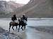 Mule Rides Across the Rio Vacas