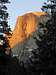 Half Dome through the trees