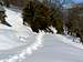 Snowy Pyrenees