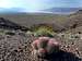 Barrel Cactus on  Death Valley Buttes