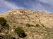 First part of Guadalupe Peak...