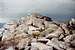 Summit of Peak 7,623 - Selway Crags