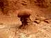 Mushroom-shaped Rock in Goblin Valley