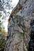 Hermit Rock- North Face