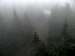 View from fire tower in thick fog