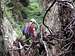 Tree/log Choked Pasadena Glen Canyon