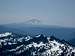Mount Adams from the Muir Snowfield