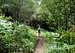 Green Ferny Trail