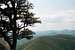 View from Mt. Yonah