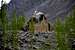 Budhist Rock Skardu Baltistan
