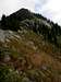Mac Peak - Upper SW Ridge