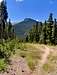 Estes Cone from Twin Sisters Trailhead