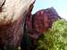 Weeping Rock Zion NP Utah