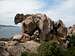 Sardinias landmark: the bear...