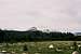 Fairview Dome from Tuolumne...