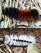 Shenandoah Caterpillars
