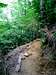 This is the Joemoekee Trail,...