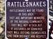 Rattlesnake Sign in Piedra Lisa