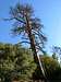 Hiking to Tahquitz Peak