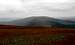 Corserine views - Meikle Millyea and Rhinns of Kells