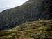 Mountain goats - Rhinns of Kells